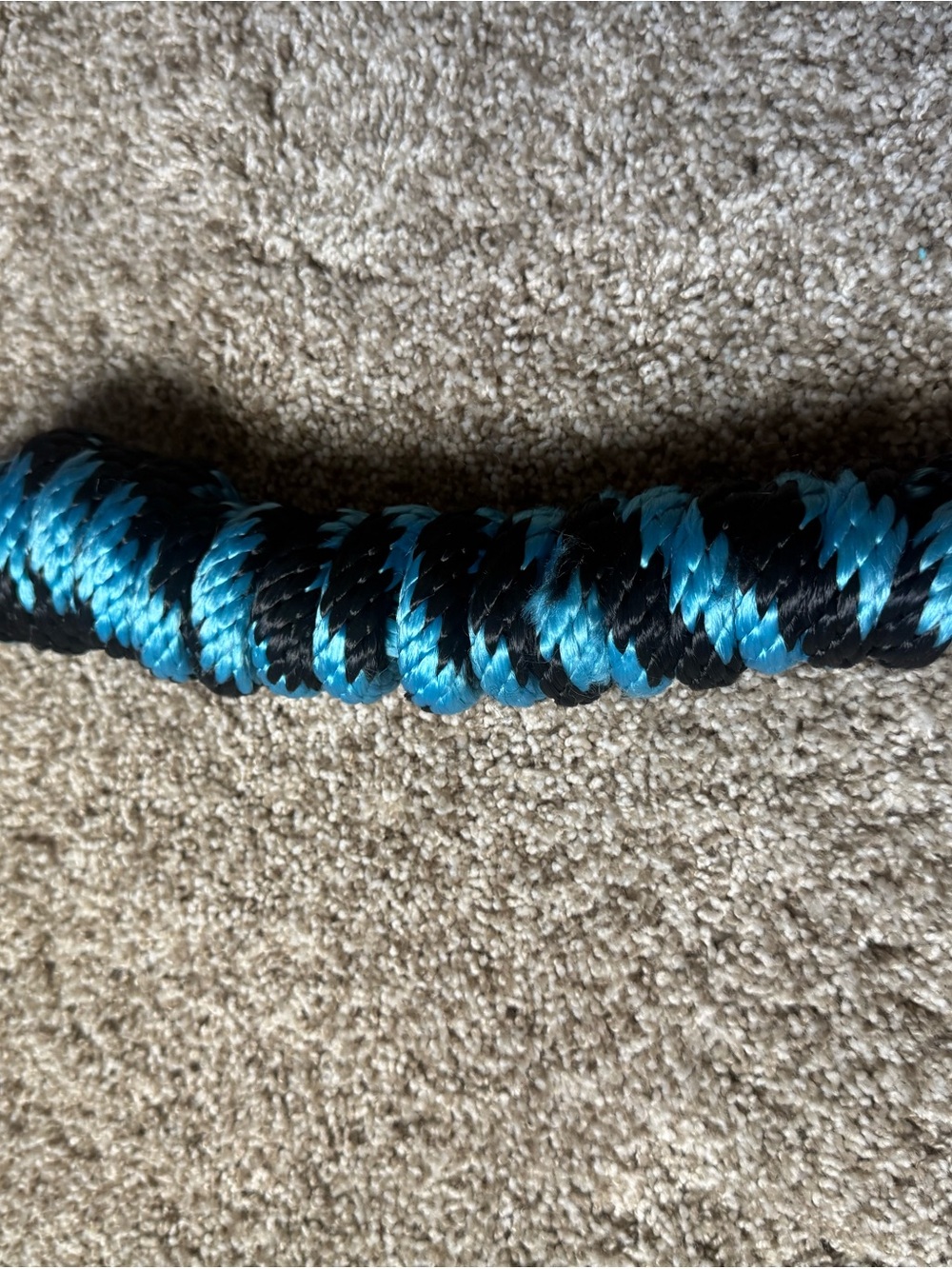 Blue and Black Braided Lead Rope